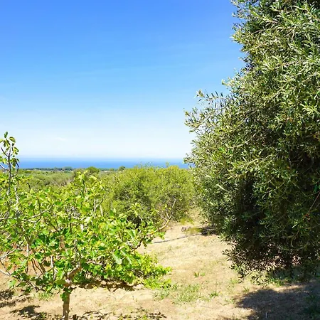 Holiday home - La Prunosa