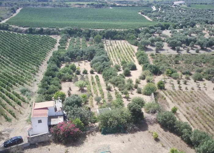 - La Prunosa